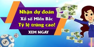 Dự đoán kết quả và soi cầu miền bắc miễn phí